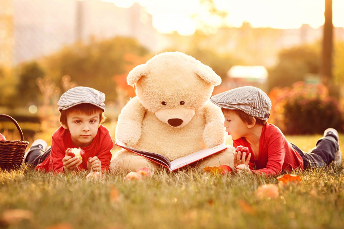 Teddy_bear_Boys_Two_Book_517293_1280x853