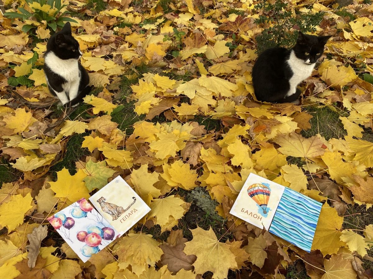 IMG_3158_cats